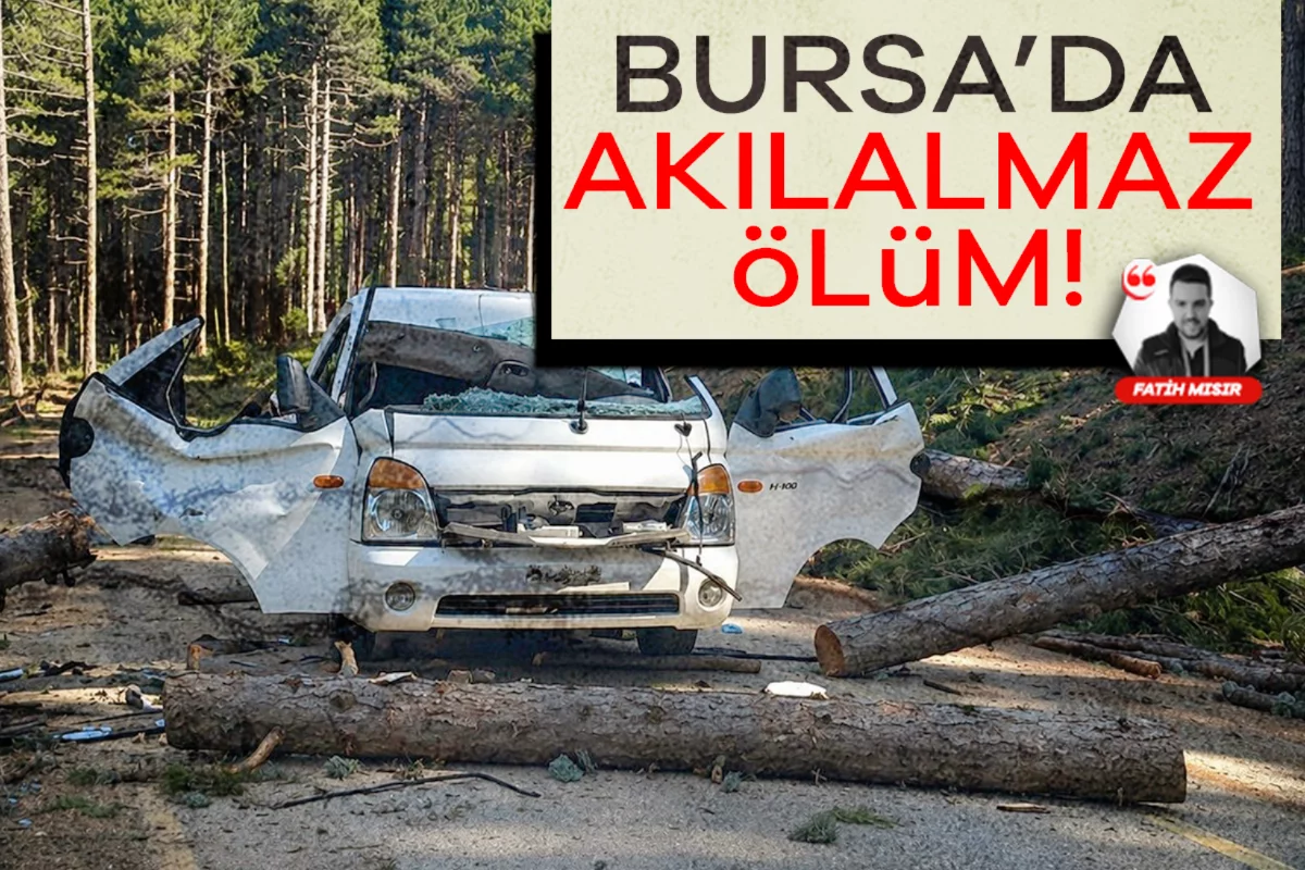 Bursa'da akılalmaz olay! Devrilen ağaç seyir halindeki aracı ezdi: Ölü ve yaralı var