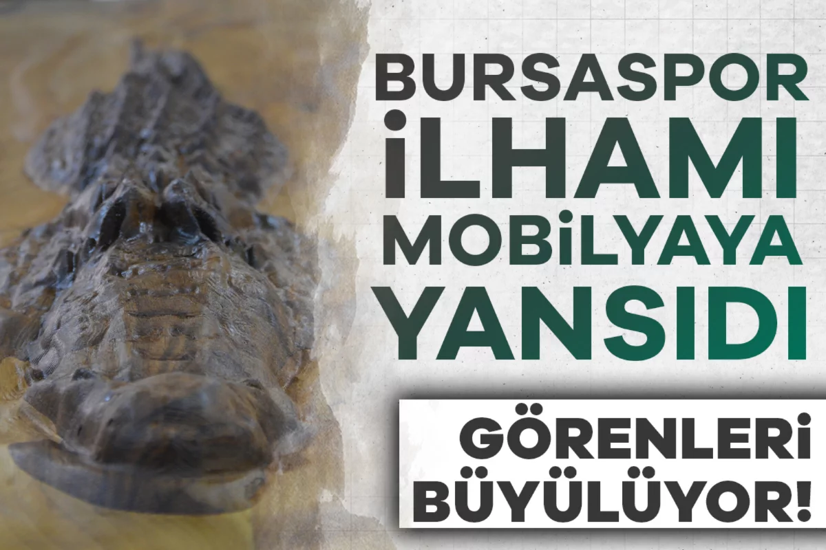 Bursaspor ilhamı mobilyaya yansıdı! Görenleri büyülüyor