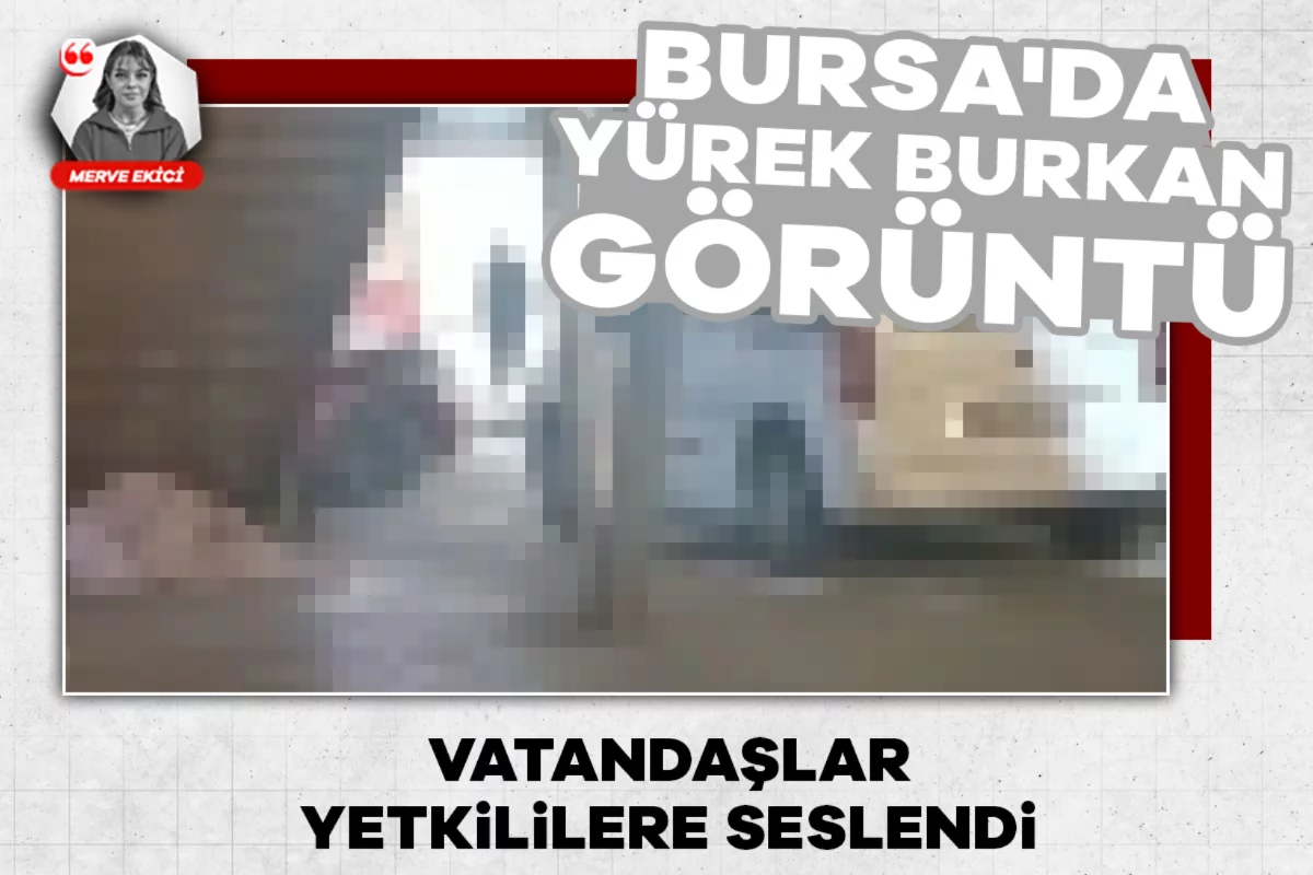 Bursa'da yürek burkan görüntü: Vatandaşlar yetkililere seslendi