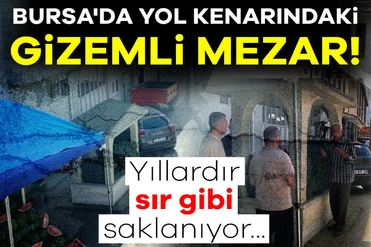 Bursa'da yol kenarındaki gizemli mezar! Yıllardır sır gibi saklanıyor...