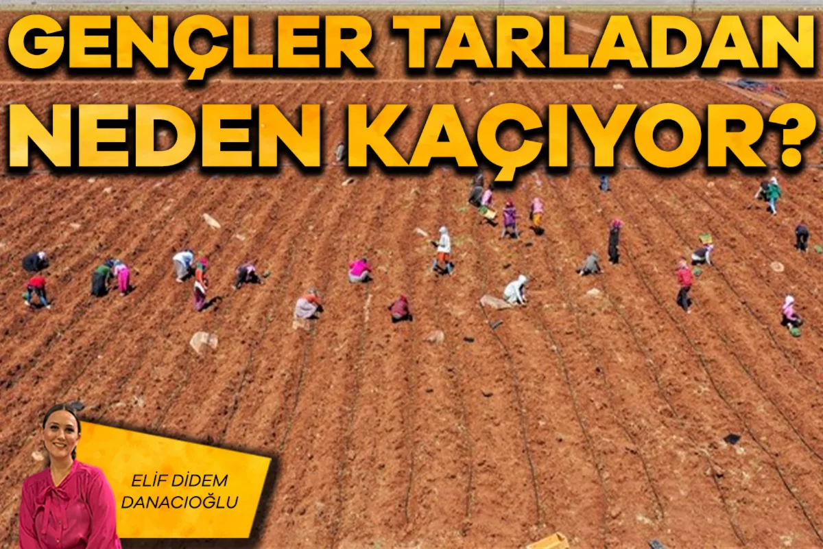 Elif Didem Danacıoğlu; Gençler tarladan neden kaçıyor?