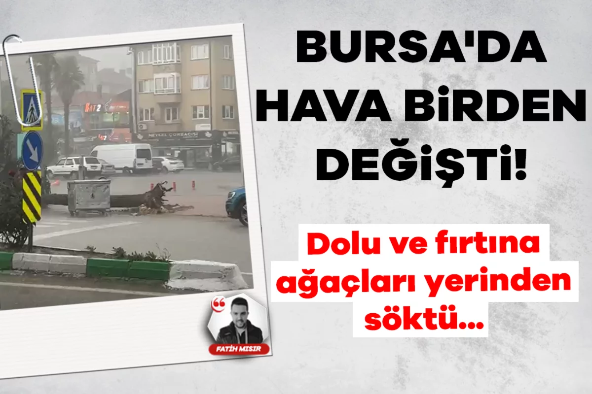 Bursa'da hava birden değişti! Dolu ve fırtına ağaçları yerinden söktü...