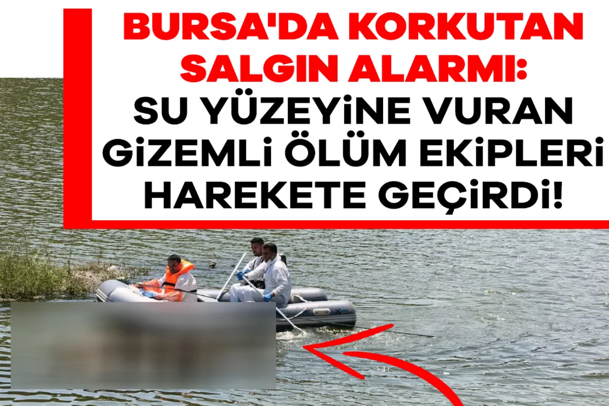 Bursa'da korkutan salgın alarmı: Su yüzeyine vuran gizemli ölüm ekipleri harekete geçirdi!