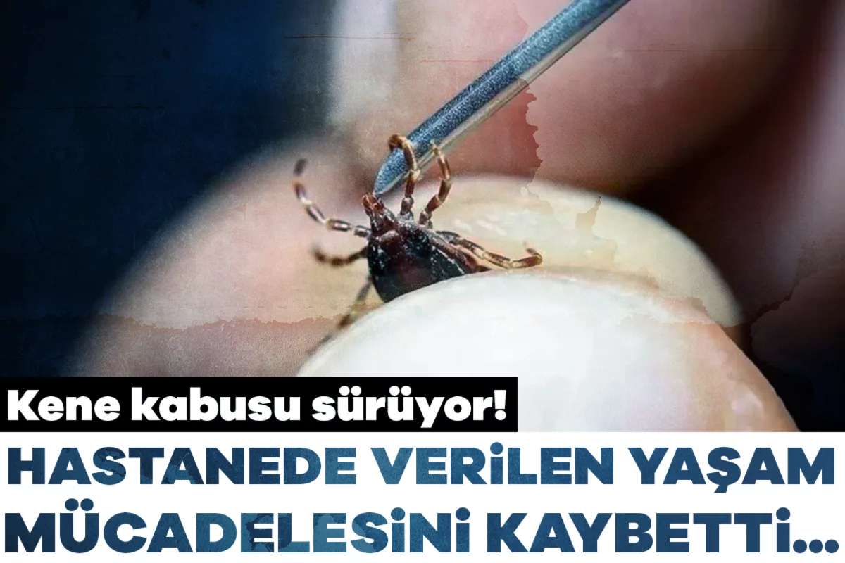 Kene kabusu sürüyor! Hastanede verilen yaşam mücadelesini kaybetti...