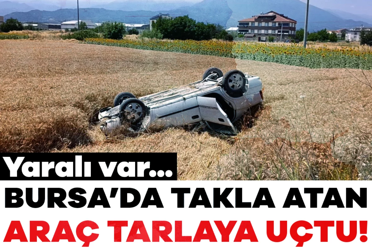 Bursa'da otomobil tarlaya uçtu!