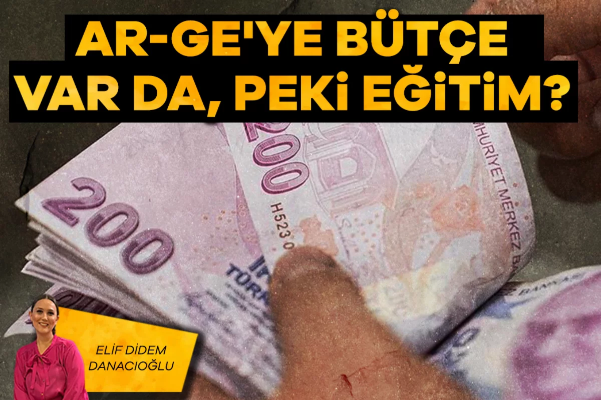 Elif Didem Danacıoğlu; Ar-Ge'ye bütçe var da, peki eğitim?