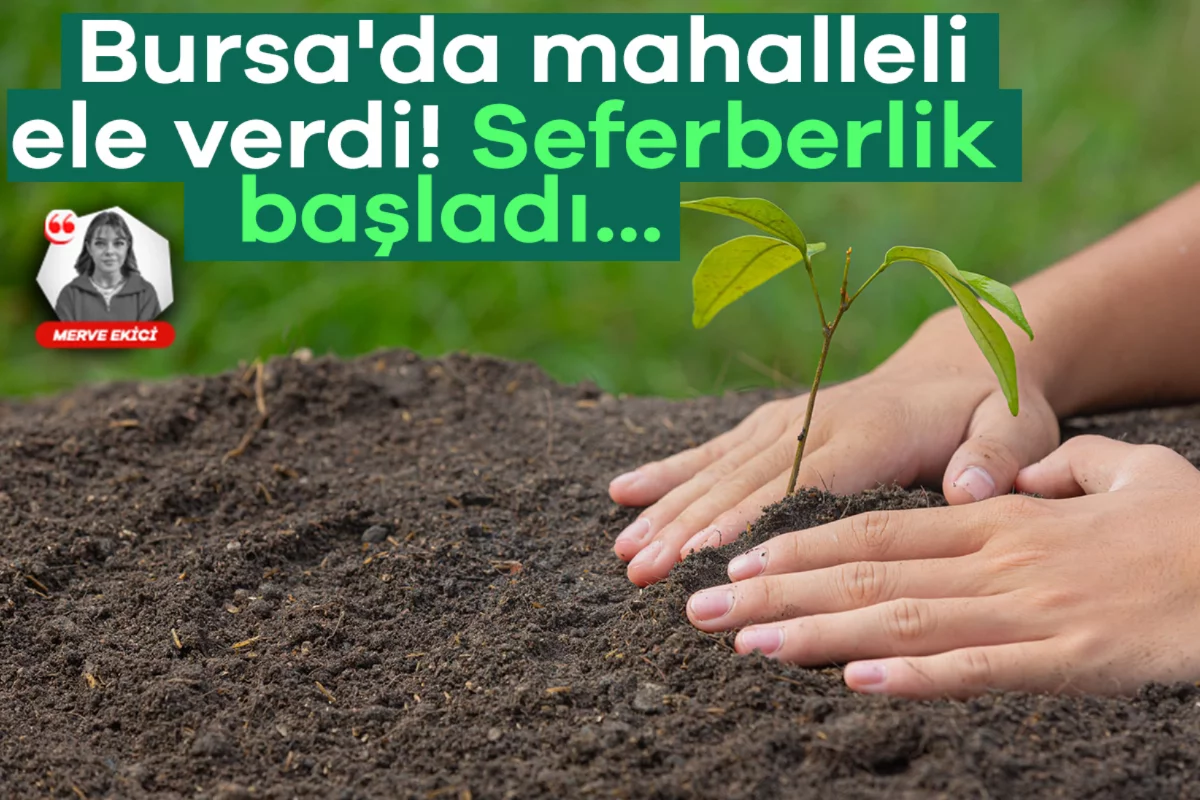 Bursa'da mahalleli el ele verdi! Seferberlik başladı...