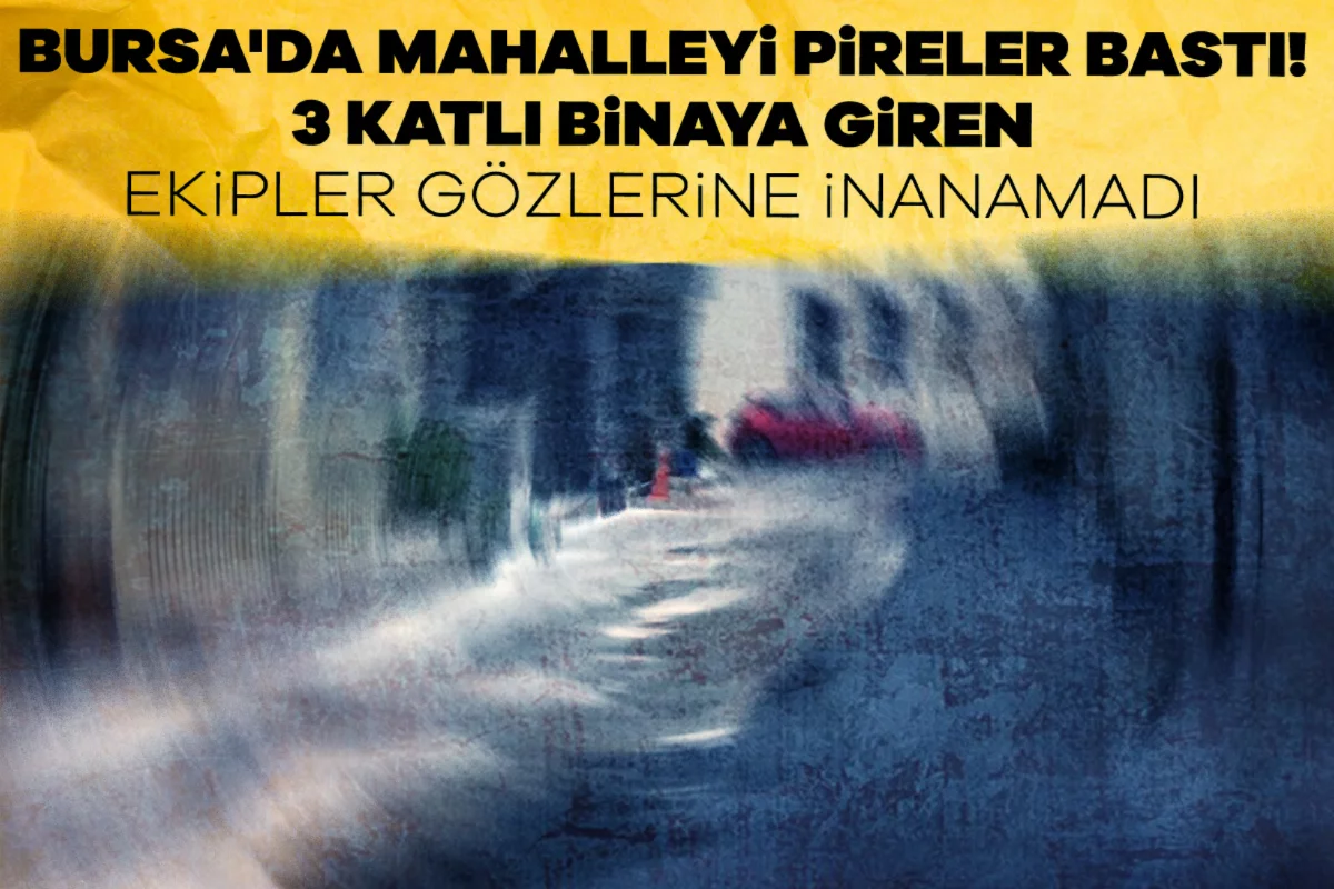 Bursa'da mahalleyi pireler bastı! 3 katlı binaya giren ekipler gözlerine inanamadı