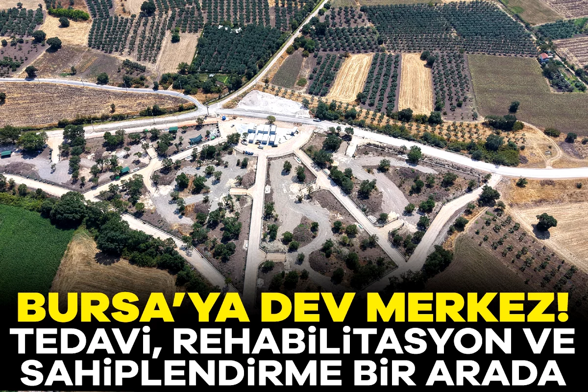 Nilüfer'de sahipsiz hayvanlar için yeni dönem: 3 bin can dostuna yuva olacak merkez açıldı