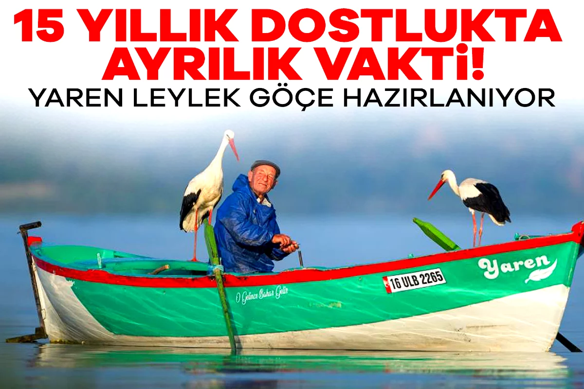 15 yıllık dostlukta ayrılık vakti! Yaren leylek göçe hazırlanıyor