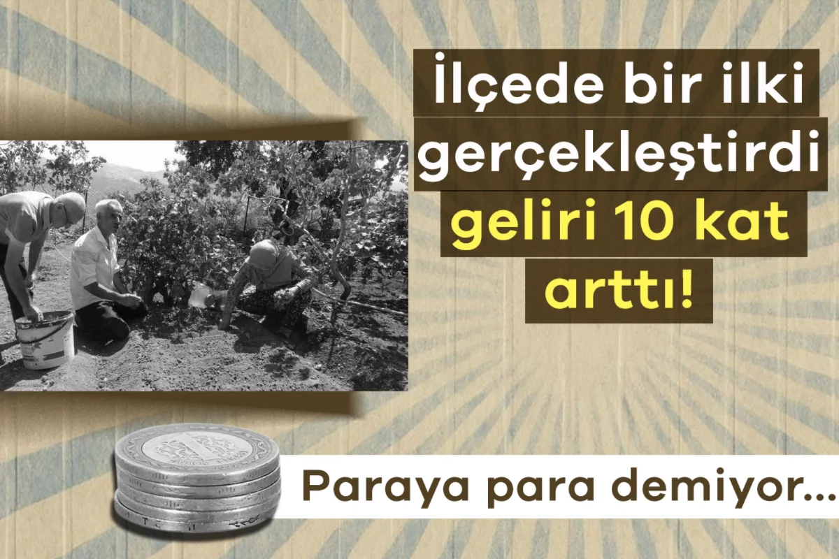 İlçede bir ilki gerçekleştirdi, geliri 10 kat arttı! Paraya para demiyor
