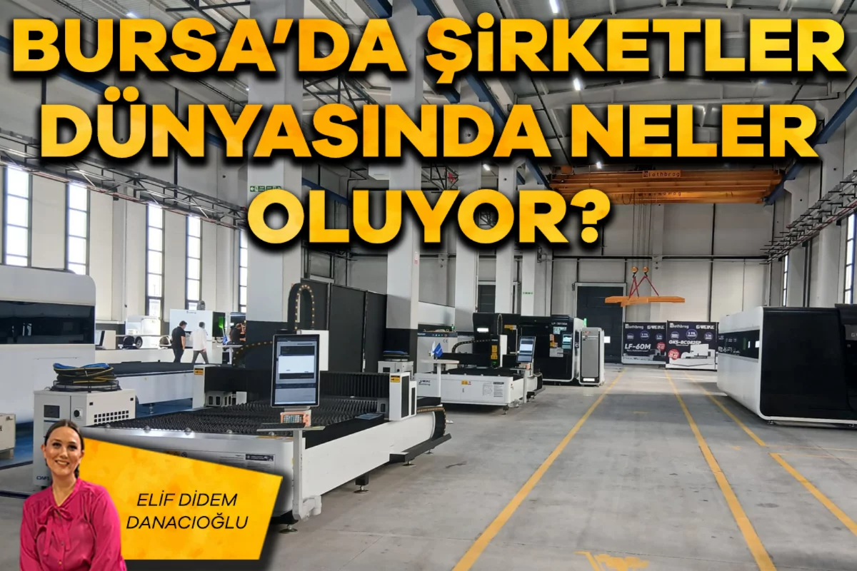 Elif Didem Danacıoğlu; Bursa'da şirketler dünyasında neler oluyor?