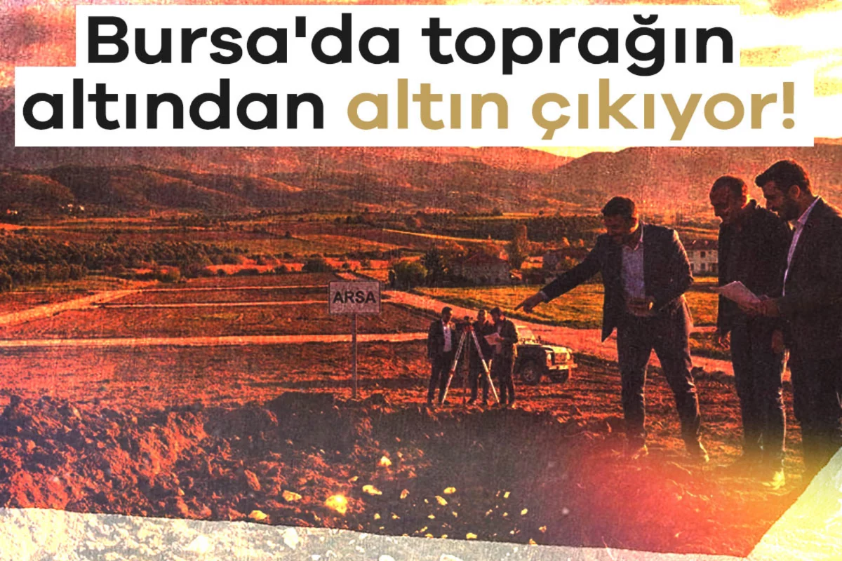 Bursa'da toprağın altından altın çıkıyor! Ya...