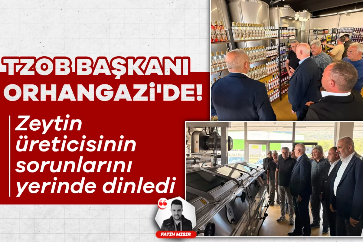 TZOB Başkanı Orhangazi'de! Zeytin üreticisinin sorunlarını yerinde dinledi