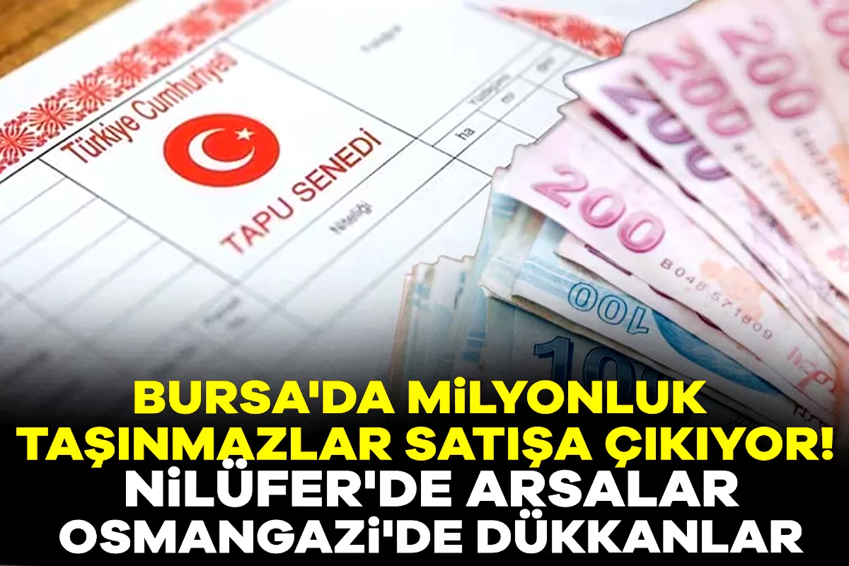 Bursa'da milyonluk taşınmazlar satışa çıkıyor! Nilüfer'de arsalar, Osmangazi'de dükkanlar