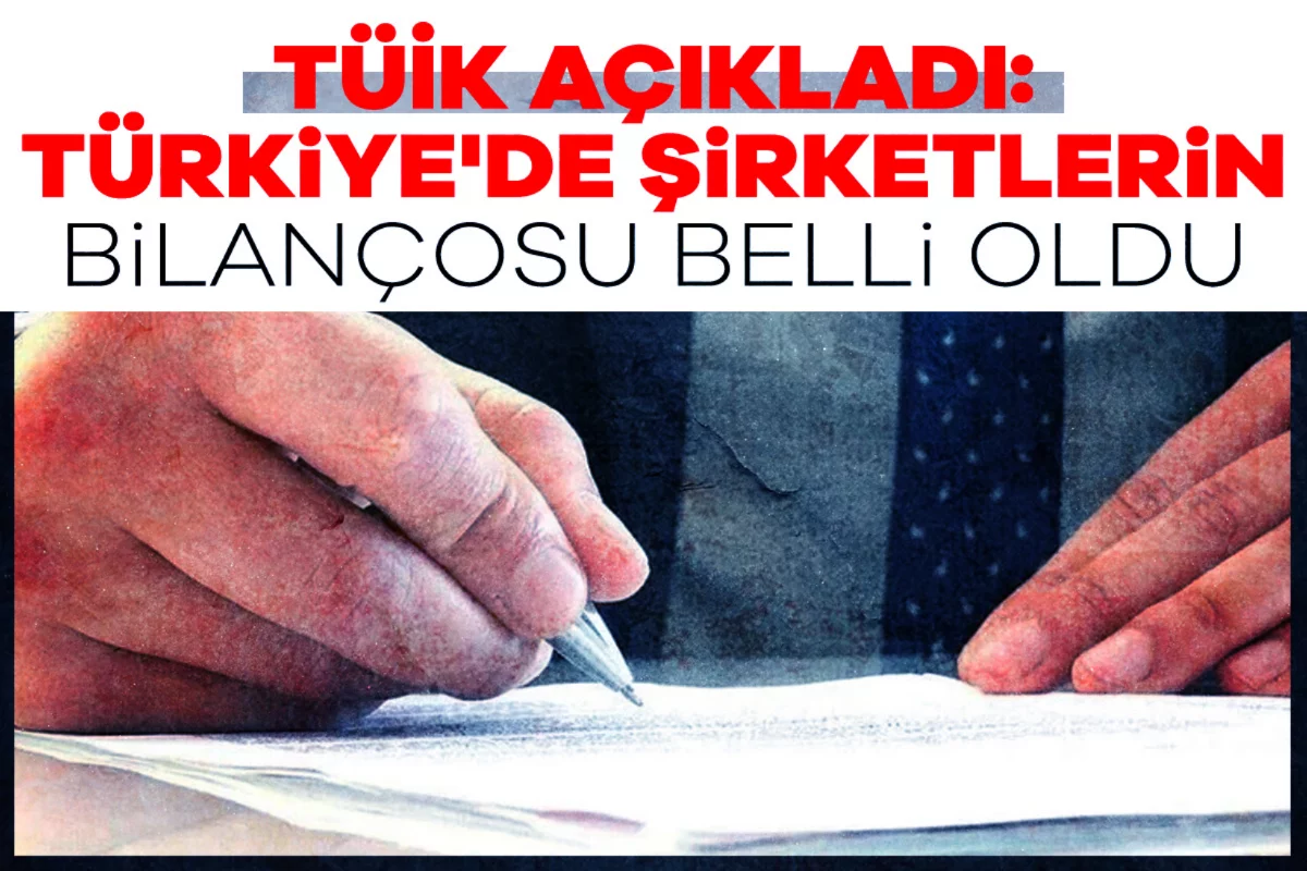 TÜİK açıkladı: Türkiye'de şirketlerin bilançosu belli oldu