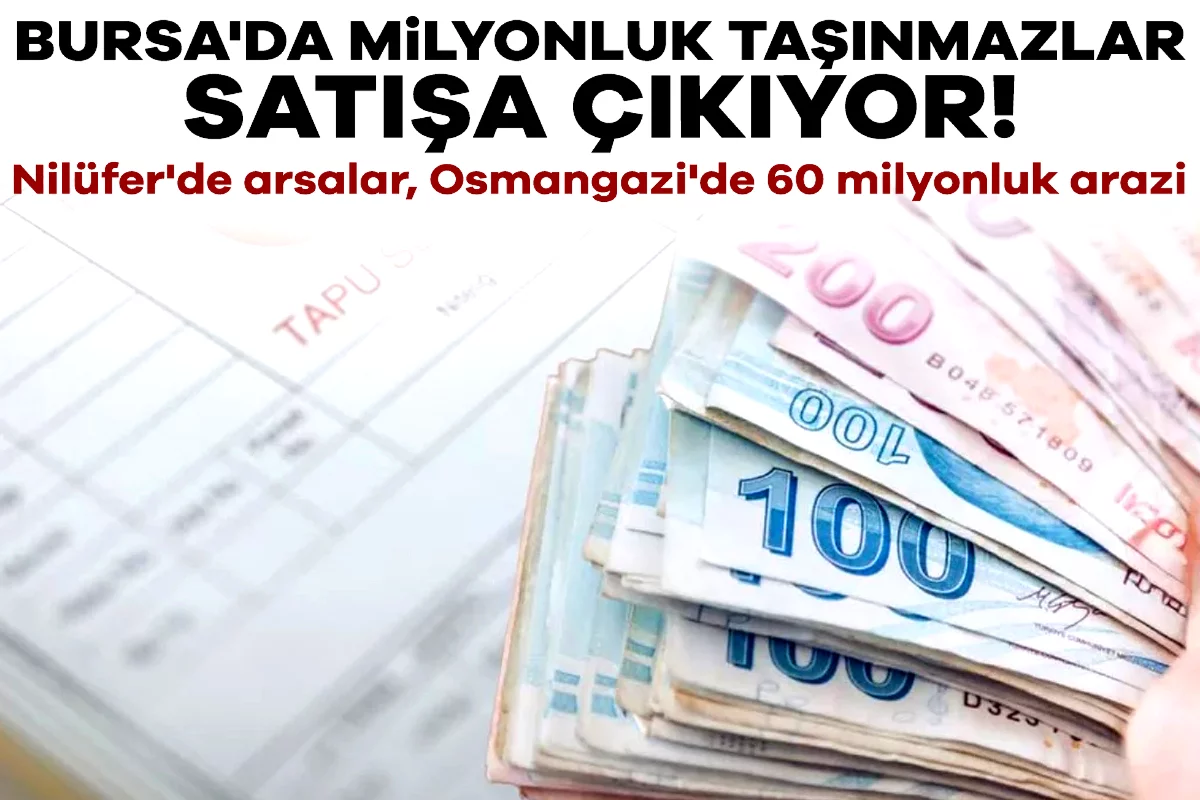 Bursa'da milyonluk taşınmazlar satışa çıkıyor! Nilüfer'de arsalar, Osmangazi'de 60 milyonluk arazi