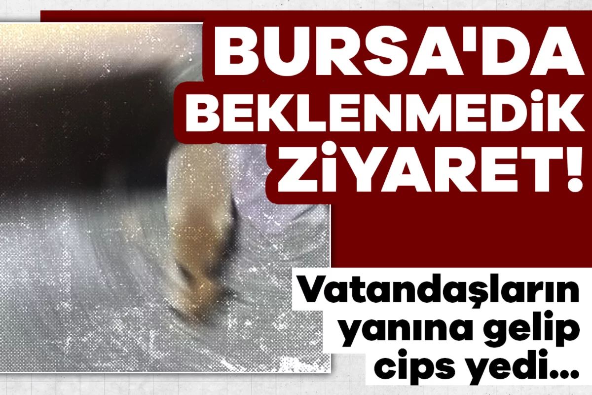 Bursa'da beklenmedik ziyaret! Vatandaşların yanına gelip cips yedi...