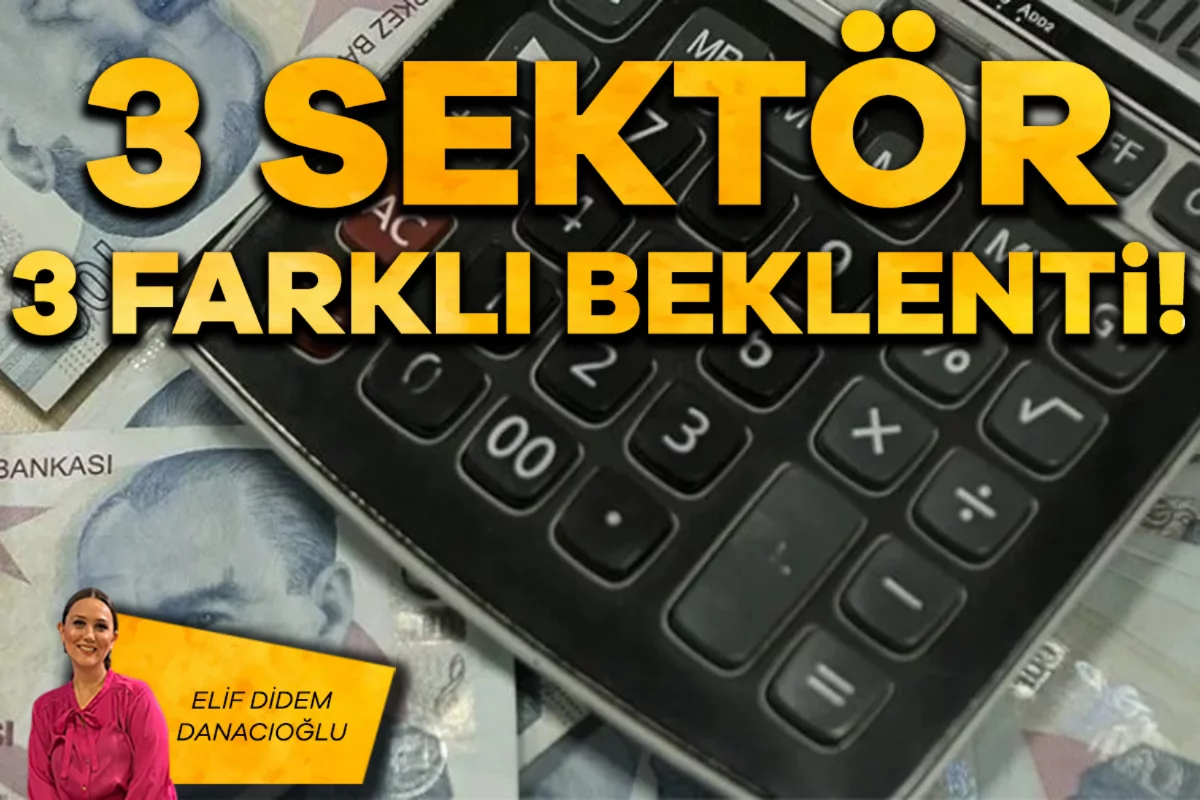 Elif Didem Danacıoğlu; 3 sektör, 3 farklı beklenti!