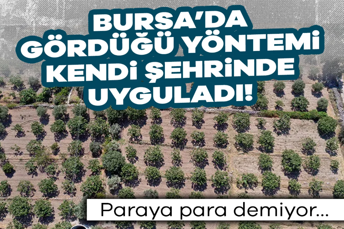 Bursa'da gördüğü yöntemi kendi şehrinde uyguladı! Paraya para demiyor...