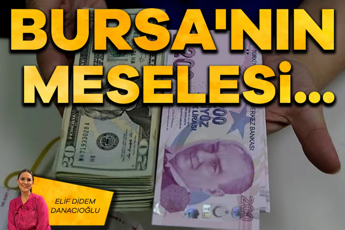 Elif Didem Danacıoğlu; Bursa'nın meselesi...