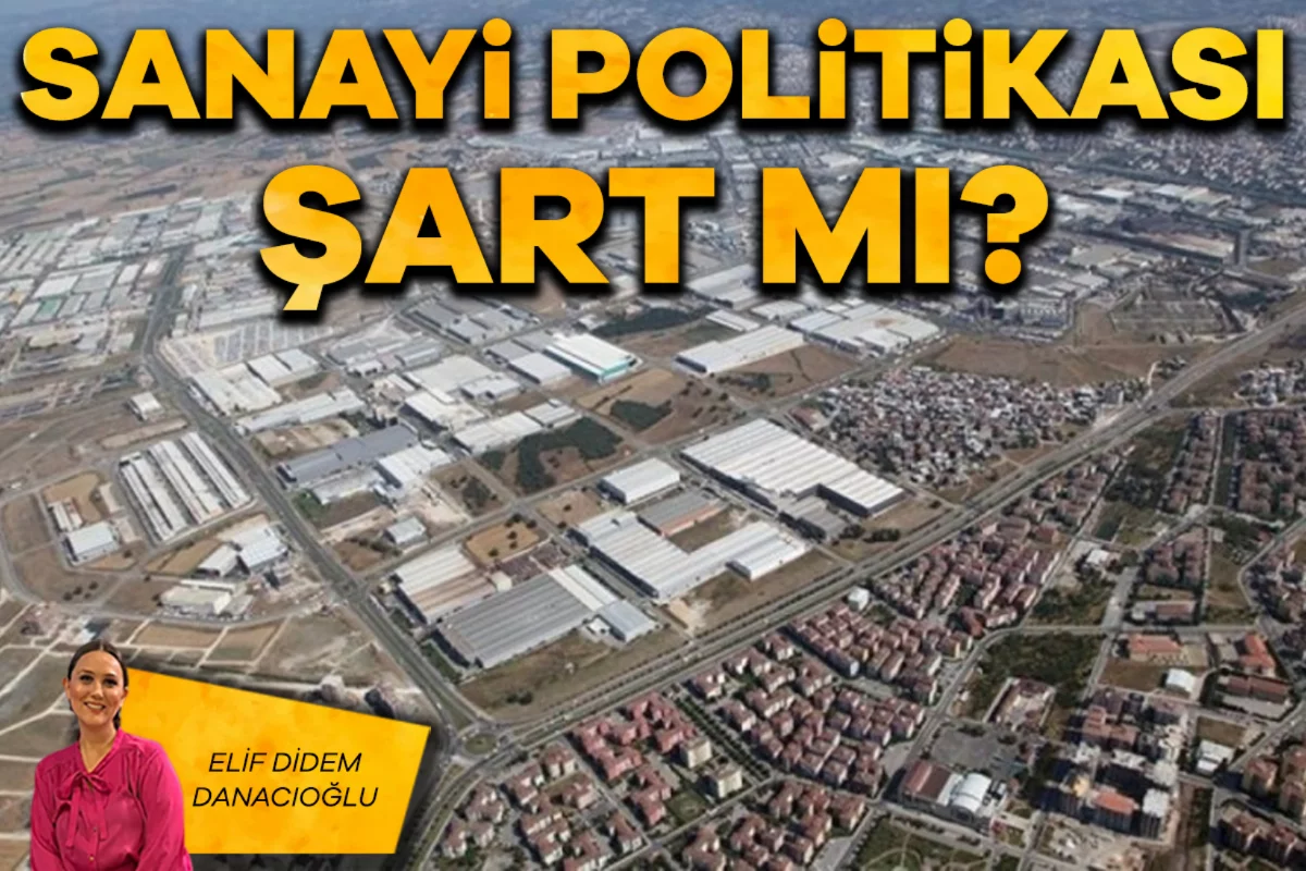 Elif Didem Danacıoğlu; Sanayi politikası şart mı?