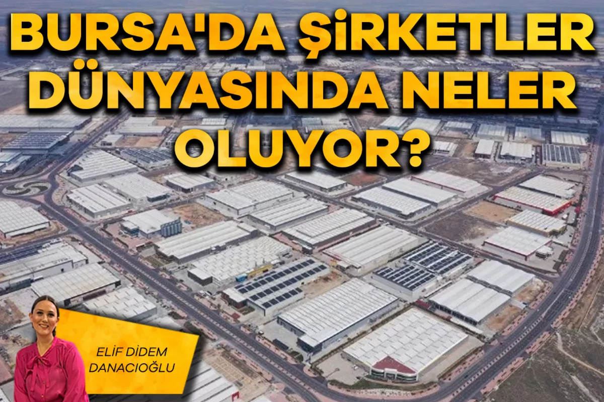 Elif Didem Danacıoğlu; Bursa'da şirketler dünyasında neler oluyor?