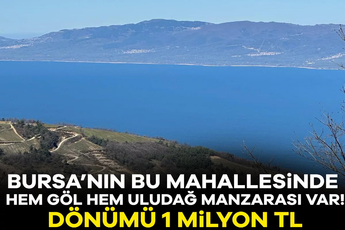 Bursa'nın bu mahallesinde hem göl hem Uludağ manzarası var! Dönümü 1 milyon TL