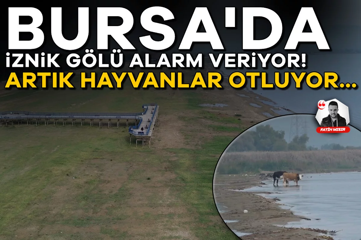 Bursa'da İznik Gölü alarm veriyor! 200 metre çekildi, iskele karada kaldı
