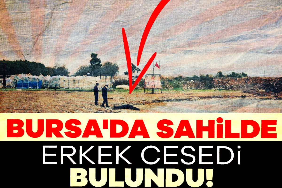 Bursa'da sahilde erkek cesedi bulundu!