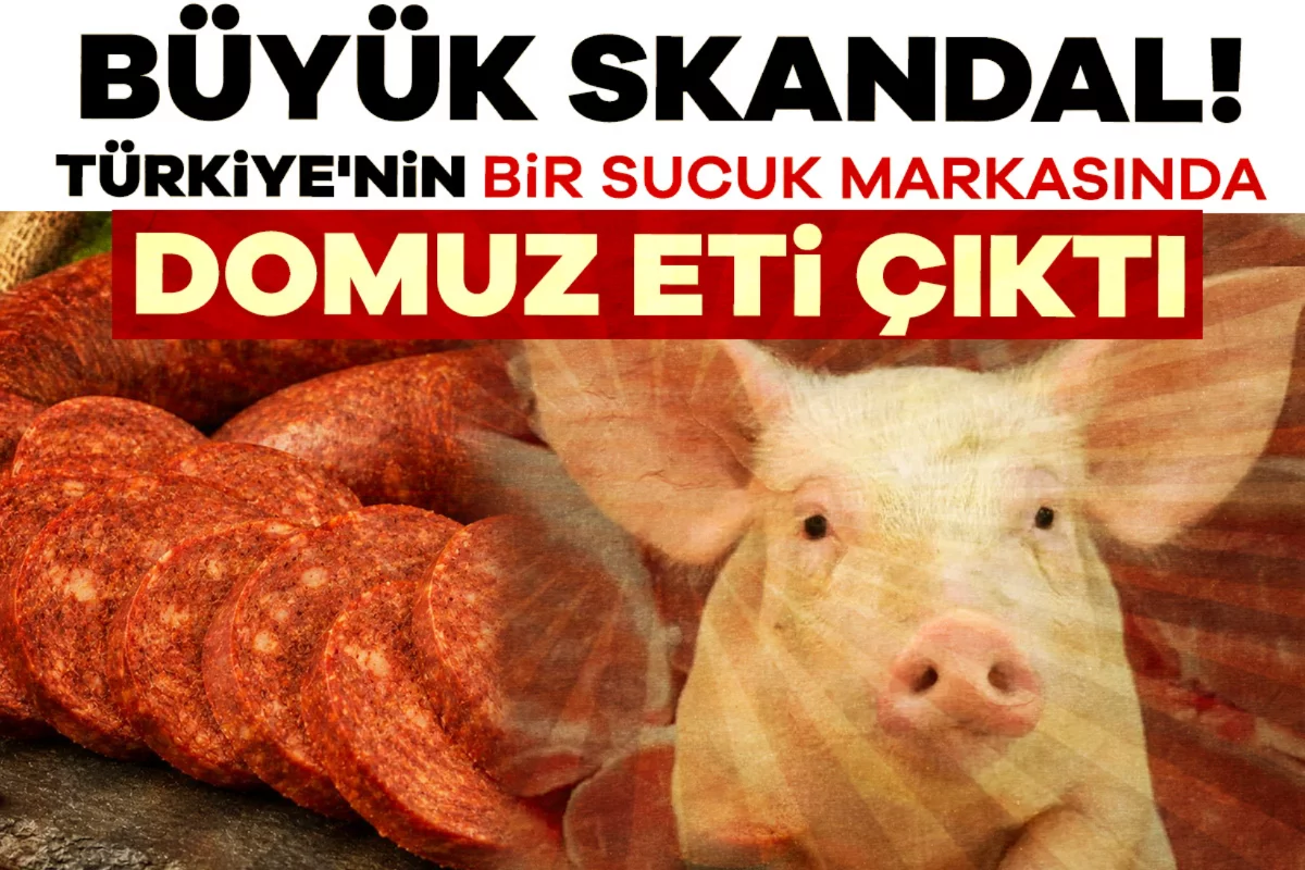 Büyük skandal! Türkiye'nin bir sucuk markasında domuz eti çıktı...