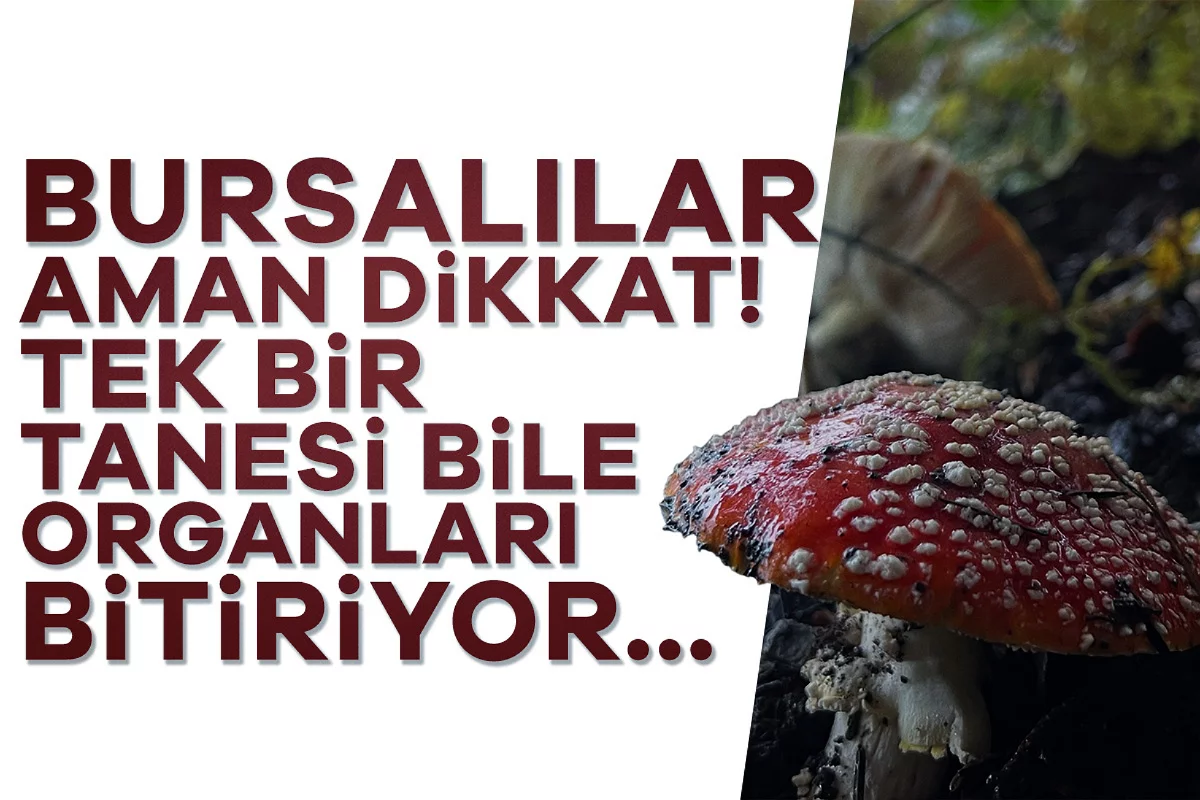 Bursalılar aman dikkat! Tek bir tanesi bile organları bitiriyor...