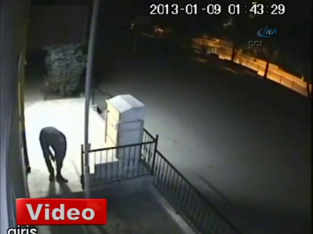 Bu hırsızı izlerken çok güleceksiniz