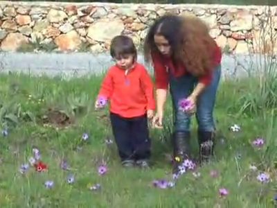 İlk cemre havaya düştü