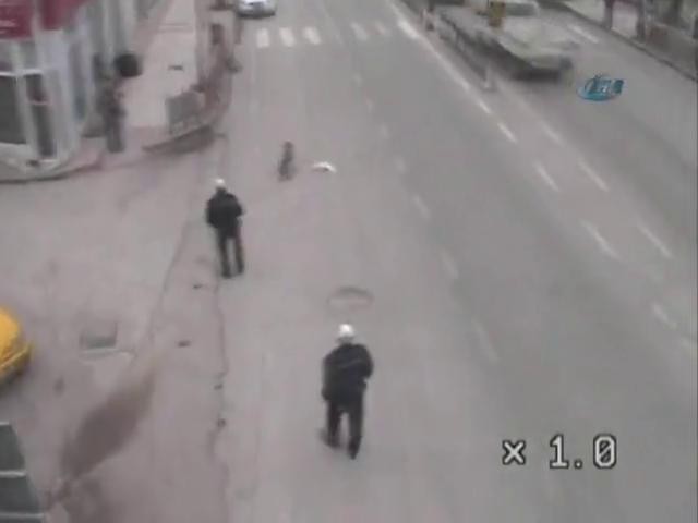 Köpek polisi görünce...