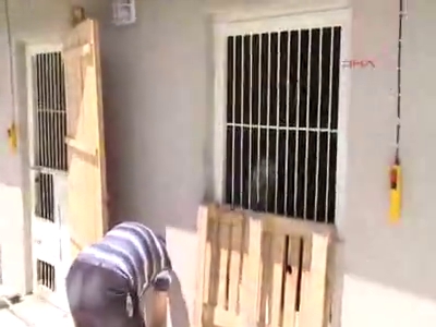Bursa'nın yeni gözbebeği "Remzi"