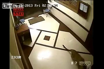 Leopar köpeği yedi