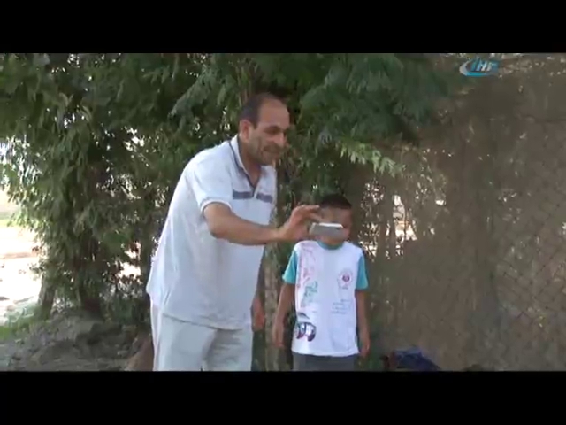 Sokakta dev kaplumbağa