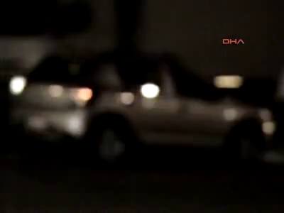 TEM'e çıkan inek ortalığı birbirine kattı