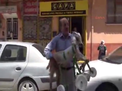 5 aylık oğlak yürümeyi ortezle öğrendi