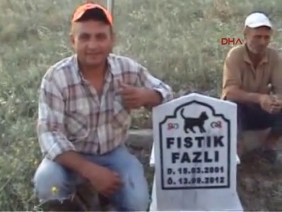 Ölen kedisi için mezar yaptırdı