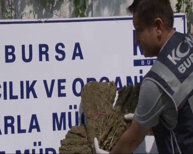'Çantada kekik var' dedi, esrar çıktı