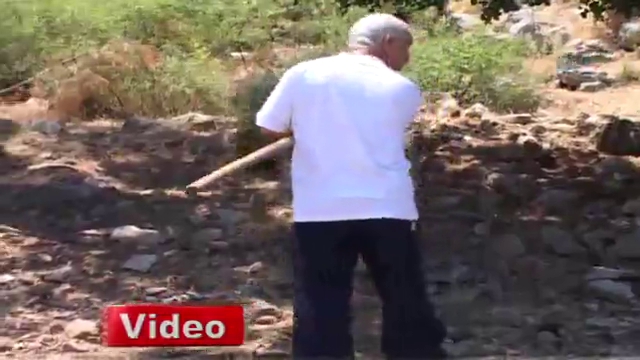Üniversite mezunu çoban
