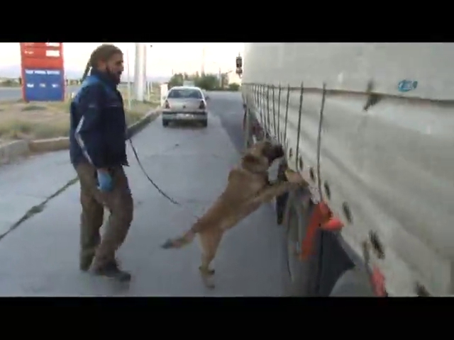 Zehir tacirleri sınır tanımıyor