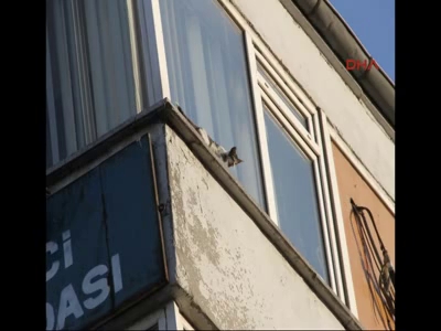 Balıkesir'de kedi kurtarma operasyonu