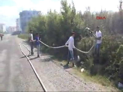Otları yakayım derken...