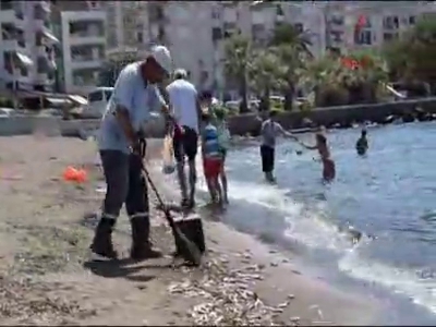 Tonlarca ölü balık denize döküldü