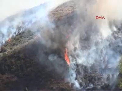 Hatay'da orman yangını