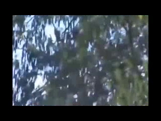 Suriye helikopteri böyle düşürüldü!