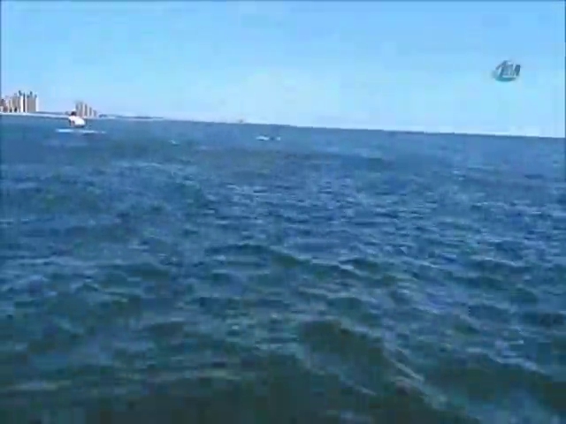 ABD’de "dev balina" şaşkınlığı